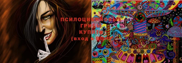 бошки Нея