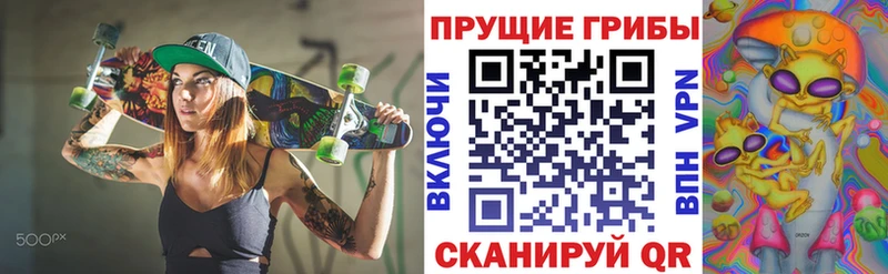 Галлюциногенные грибы Psilocybe  как найти наркотики  Новомичуринск 