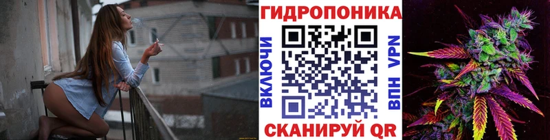 продажа наркотиков  Новомичуринск  нарко площадка формула  Каннабис индика  кракен зеркало 